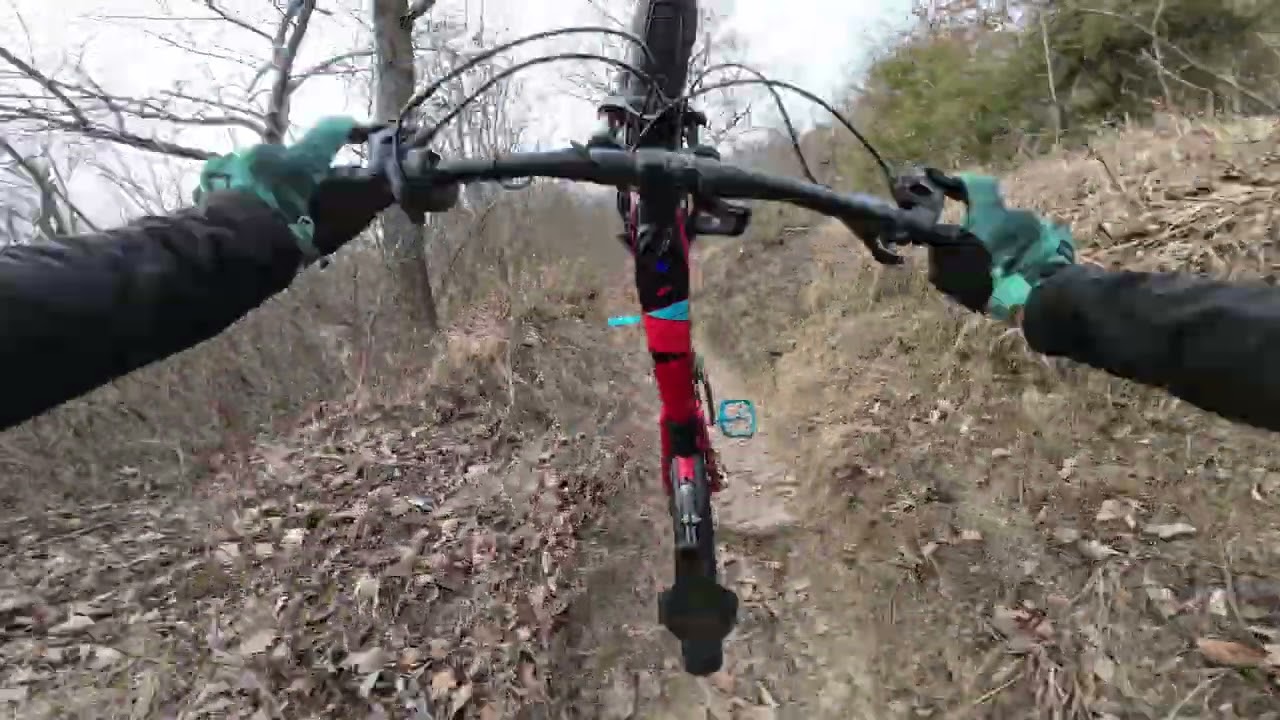 Klamm DH, Gipfel Hundshiem Trails. And a nice Crash