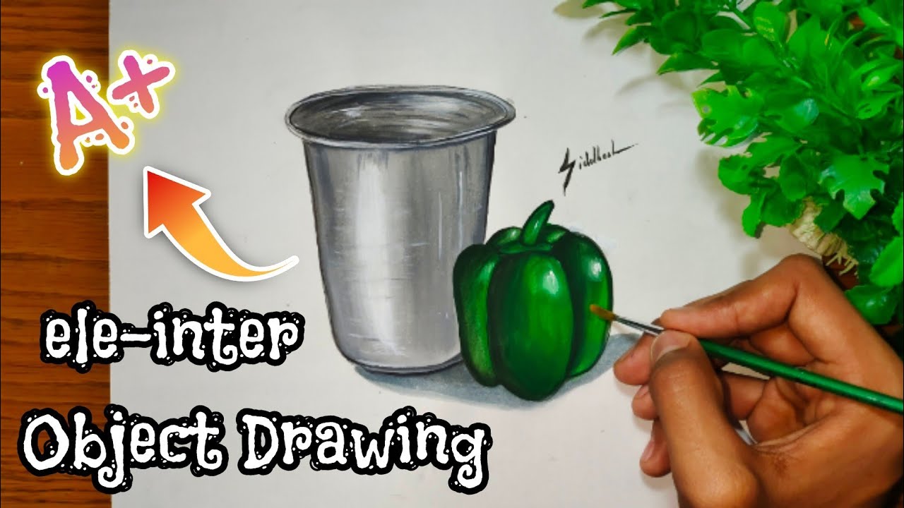 Drawing a Steel Glass & Capsicum with Water Colour for Elementary & Intermediate Exam