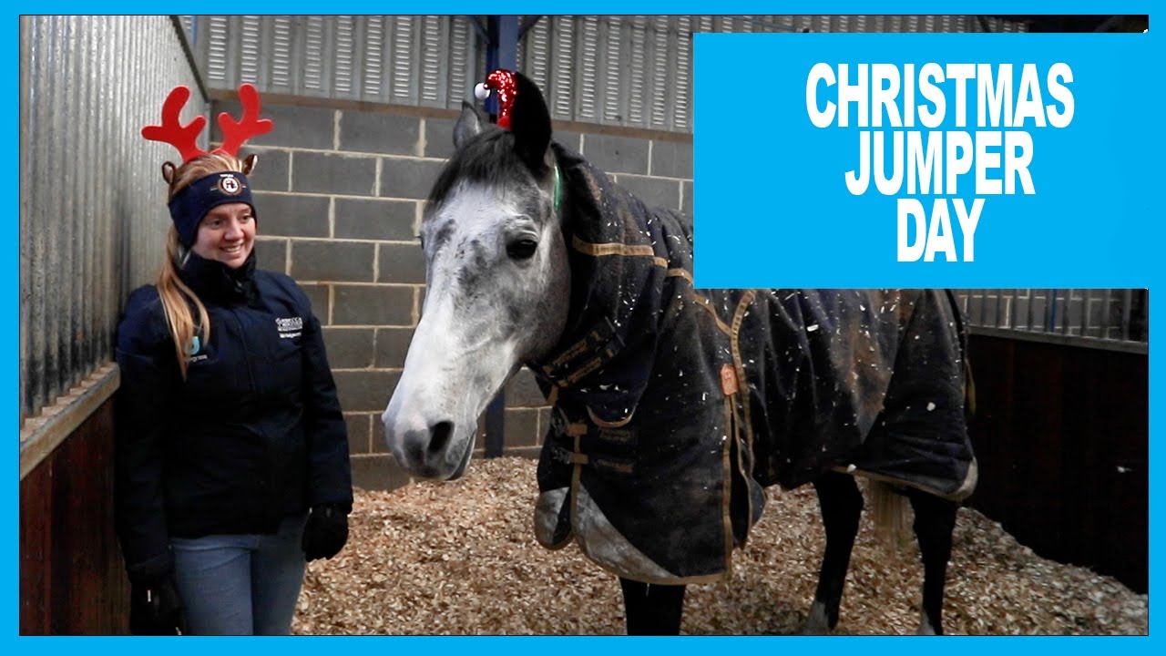 Christmas Jumper Day at Howe Hills