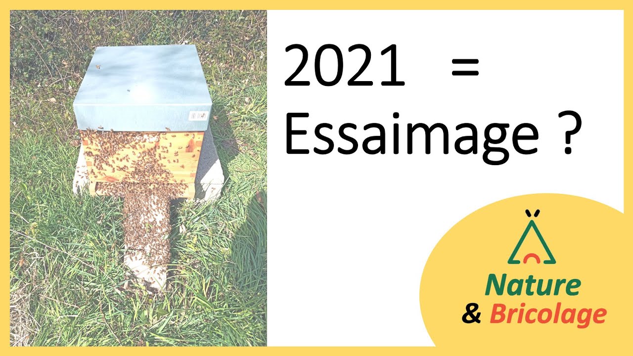 Essaimage mi-avril 2021 en Bretagne