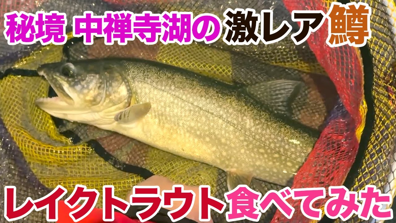 秘境 中禅寺湖の激レア鱒レイクトラウトを食べてみた