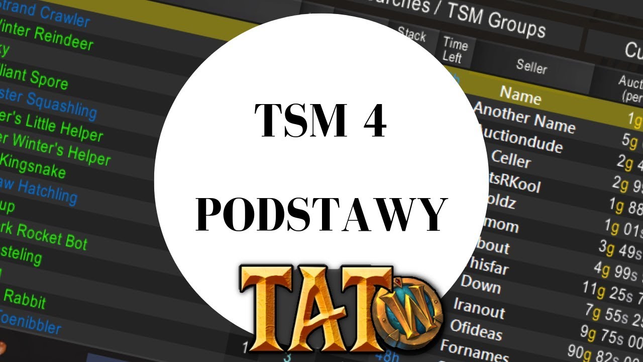 TSM4 PORADNIK. PODSTAWY!