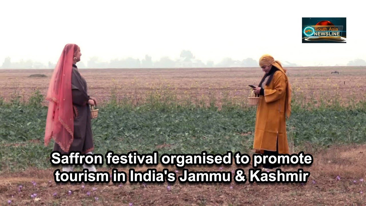 Saffron festival organised to promote tourism in India's Jammu & Kashmir