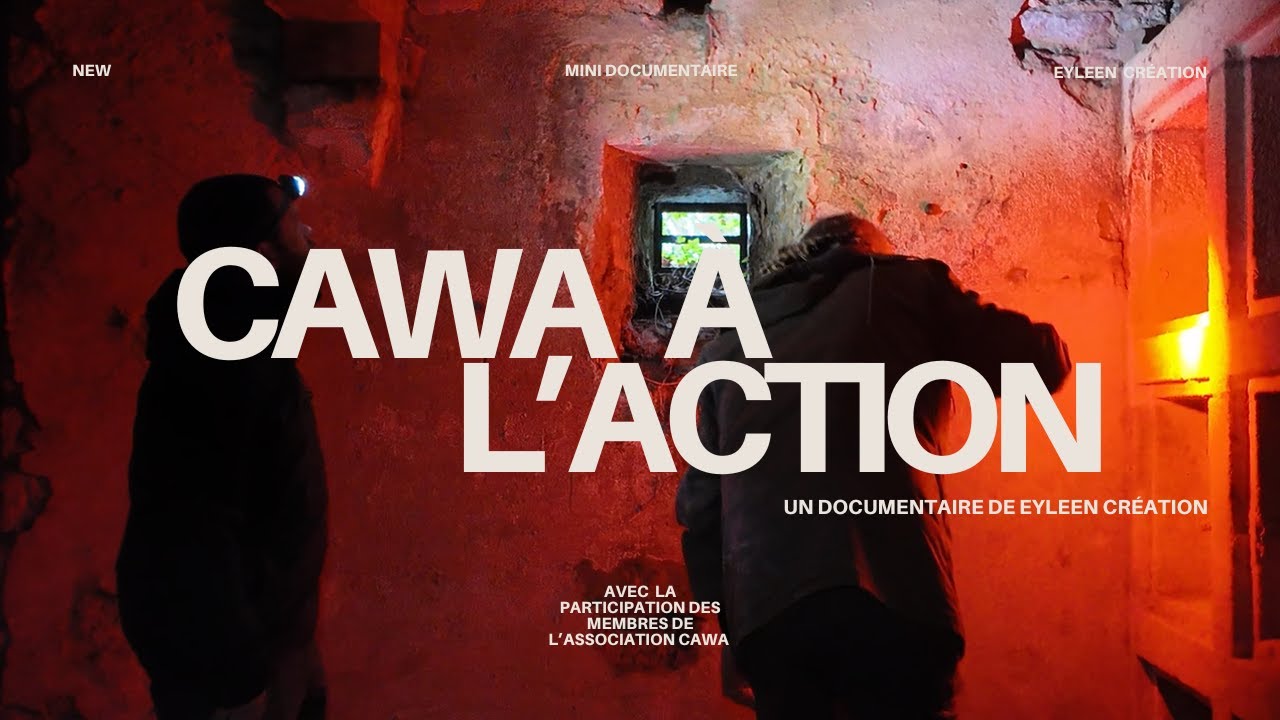 Mini documentaire : Cawa en action, comptages et protection des chauves-souris