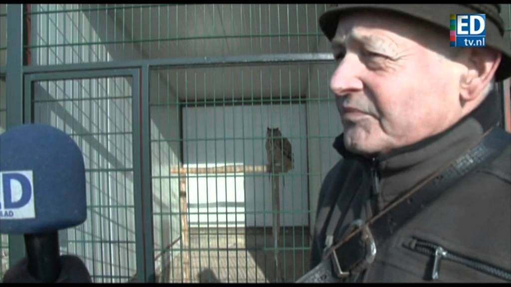 Ruige Rimpels aflevering 3: Valkenier