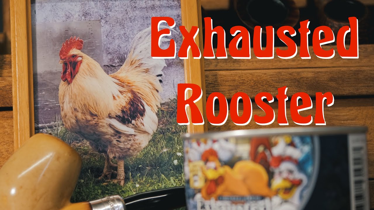 C&D Exhausted Rooster