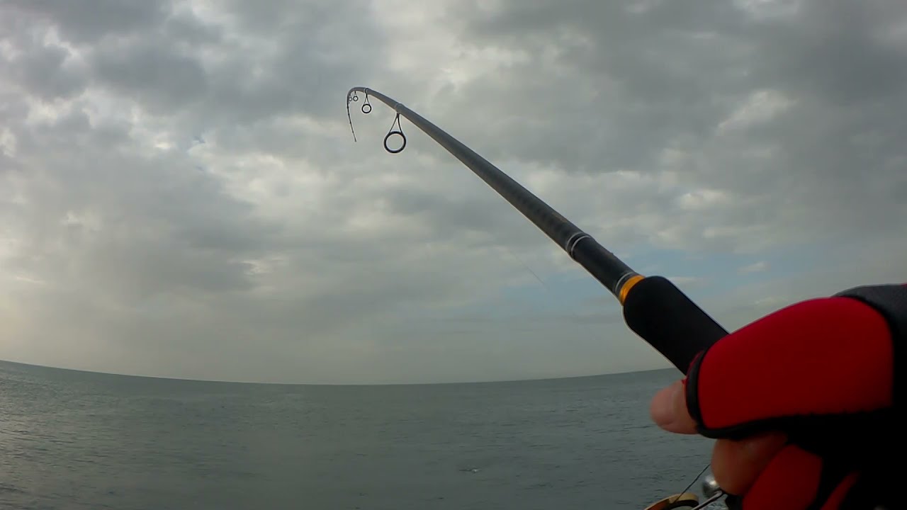 Spinning aos Robalos / Spinning Sea Bass (take 1)