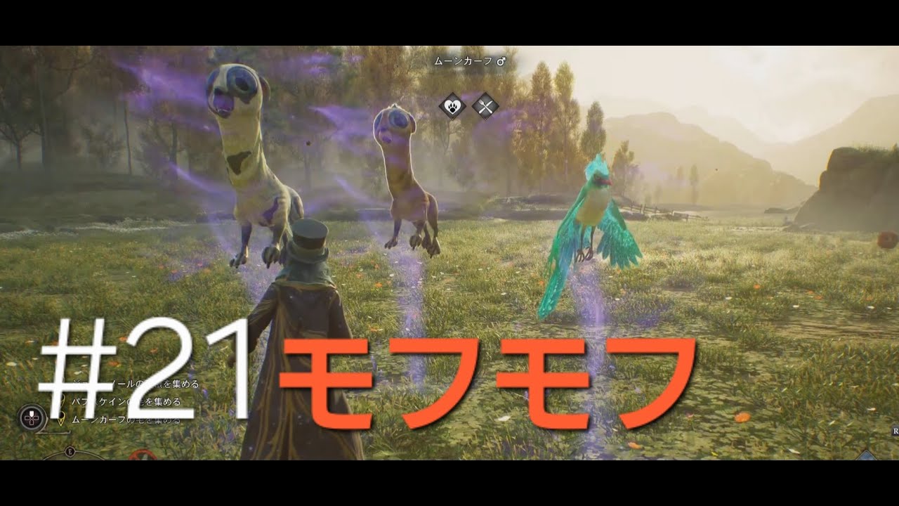 ホグワーツ・レガシー　21