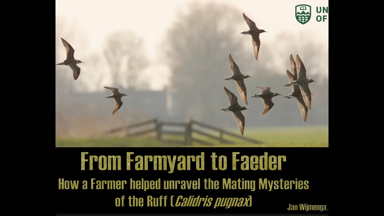 Bird Study From Farmyard to Faeder 25.10.22