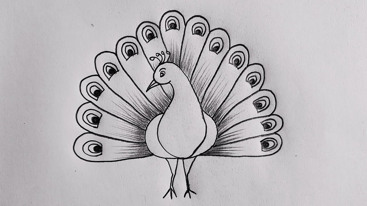 Peacock drawing easy🦚😍| How to draw a beautiful Peacock easy | Mor drawing easy #peacock🦚🦚🦚🦚🦚