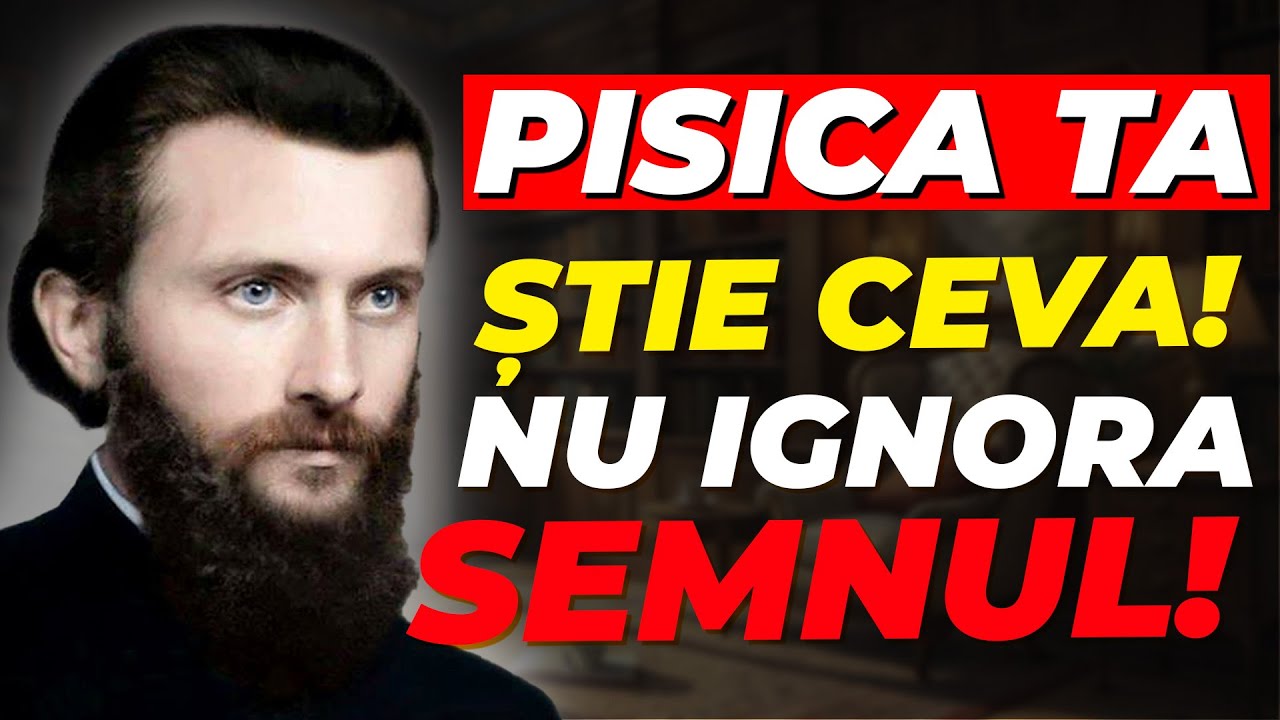 Când PISICA FACE ASTA în casă, URMEAZĂ NECAZURI | Înțelepciunea lui Arsenie Boca