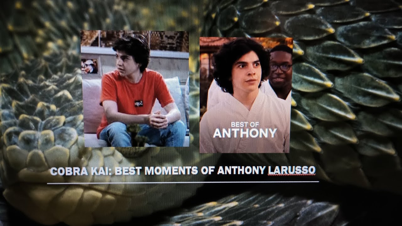 Cobra Kai: Best Moments of Anthony LaRusso 