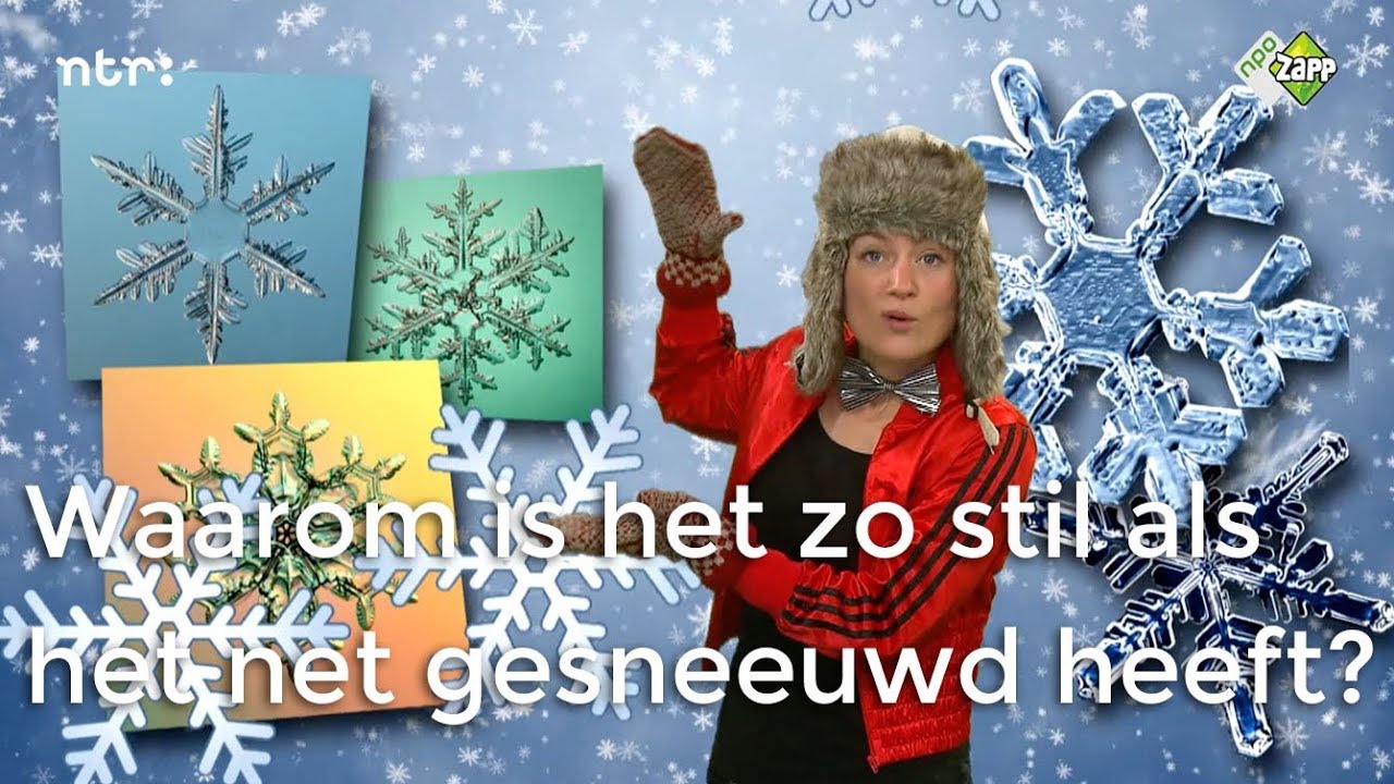 Waarom is het zo stil als het net gesneeuwd heeft?
