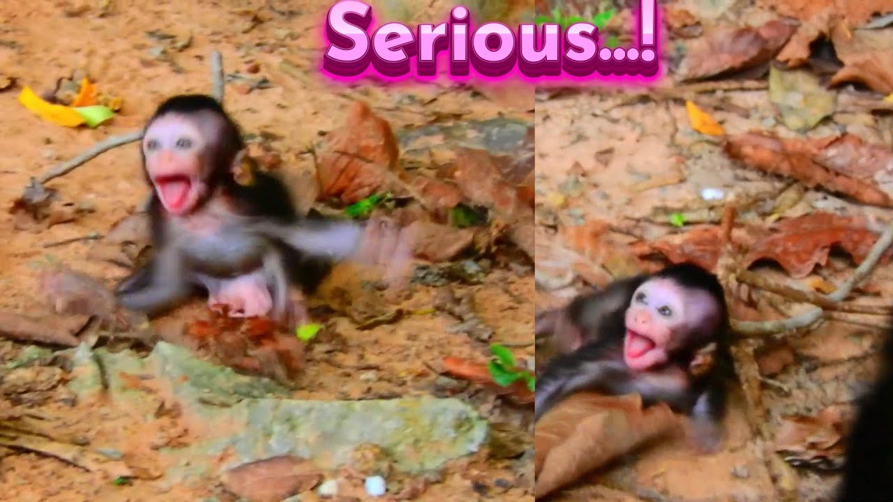 Incredible Time! Poorest Baby Meets A Ter/.rible Problem & Scared Almost D/.ied...!