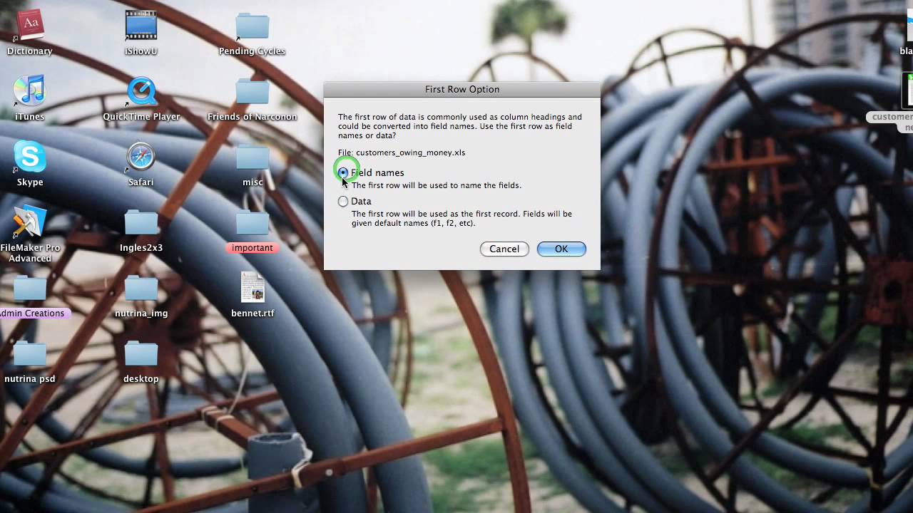 Importing Excel Files into Filemaker Pro&reg;