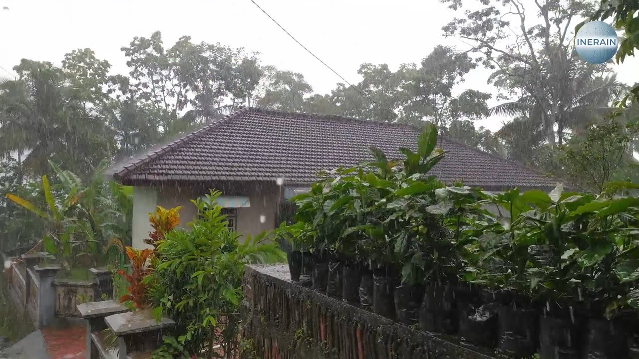 Rainfall Over a Quiet Indonesian Village – Soothing Rural Night Ambience”