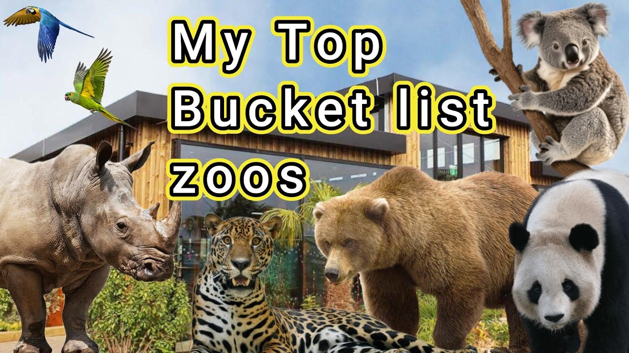 My Bucket List Zoos!
