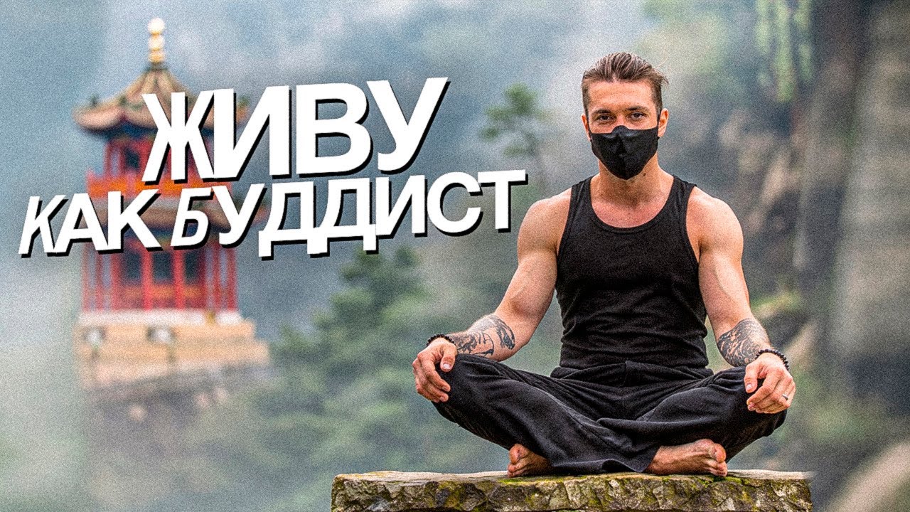 ep.8: живу как дзен-буддист \\\ видеодневник