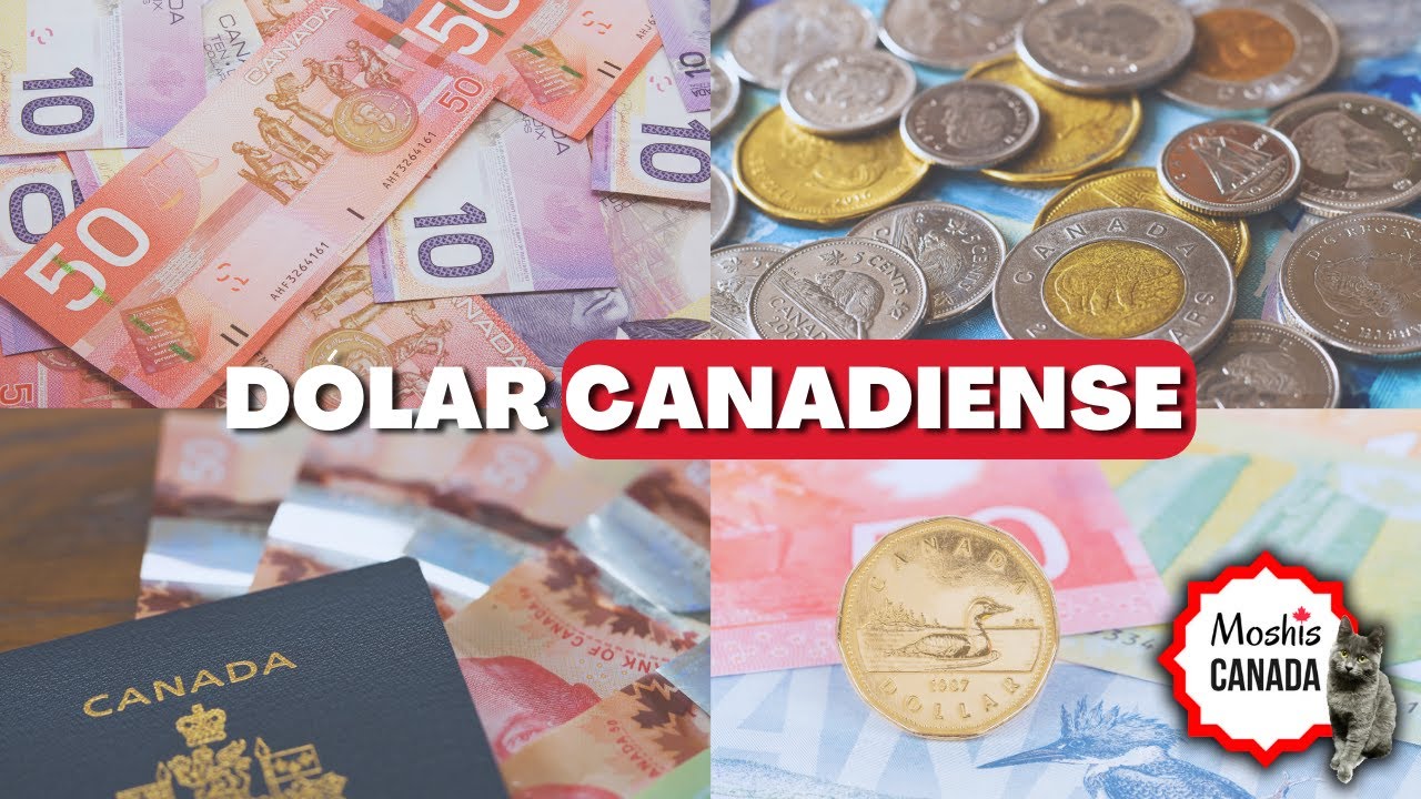 TODO lo que necesitas saber sobre la MONEDA CANADIENSE 🪙| Latinos en Canad&aacute;