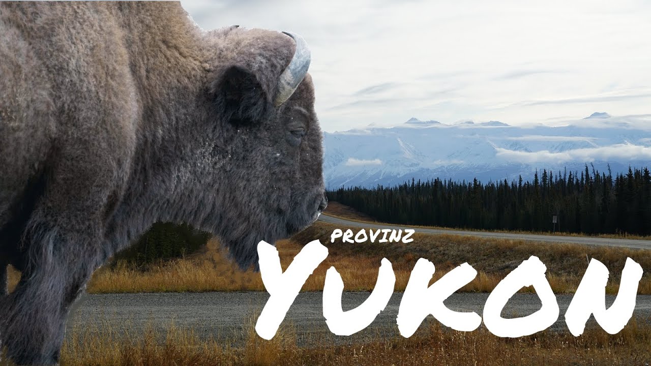 Zwischen Goldrausch, Bisons und Bären - Yukon Roadtrip (HD Doku)