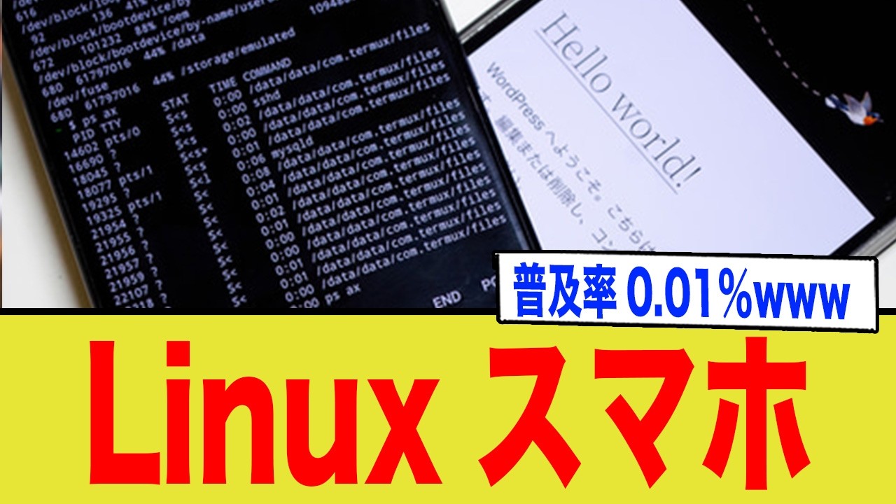 【シェア0.01%の謎】なぜ「不便なLinuxスマホ」は絶滅しないのか？