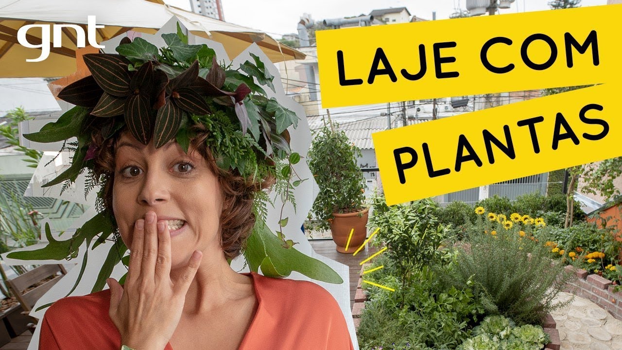 Laje de casa com diversidade de plantas | Jardinagem | Carol Costa