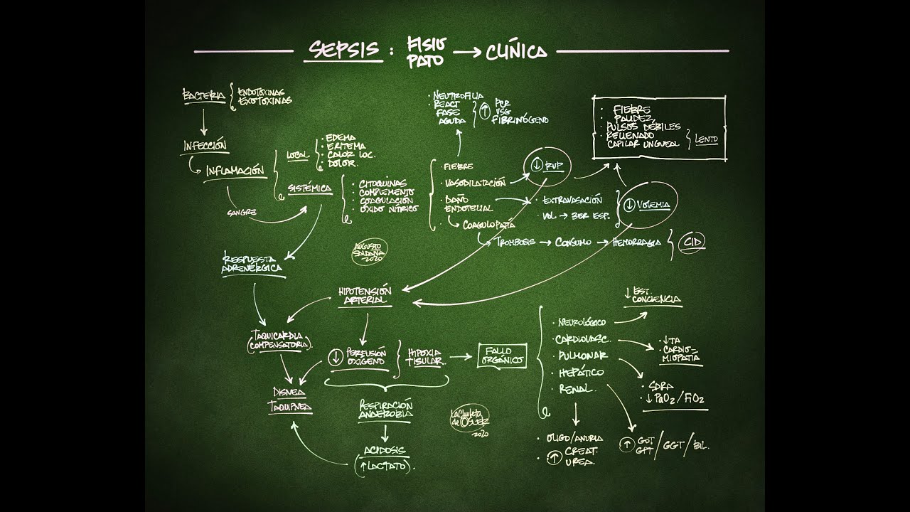 SEPSIS: fisiopatología y clínica.