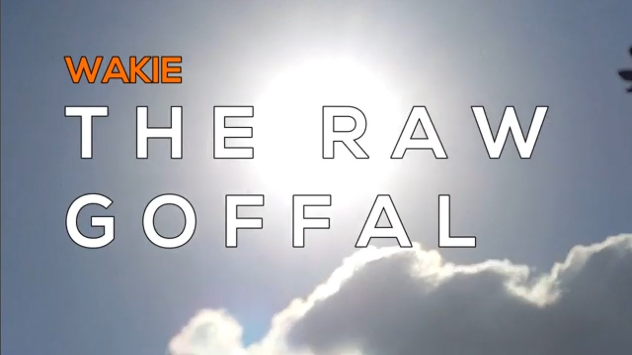 Zimbabwe's Best Shoe Doctor | THE RAW GOFFAL