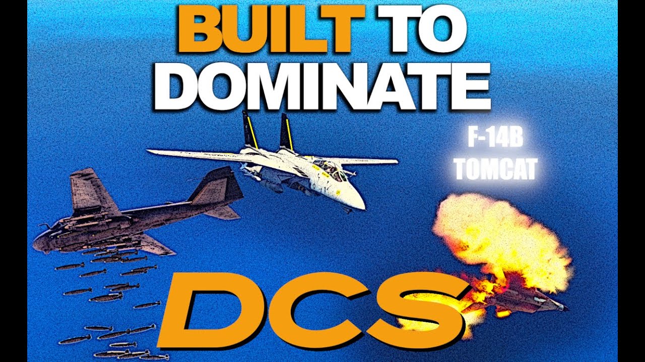 Clearing the Skies of Snakes Flying Planes | F-14B | DCS