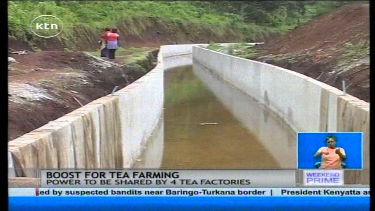 Four tea factories in Nyeri county set to benefit from their own electric power generating project