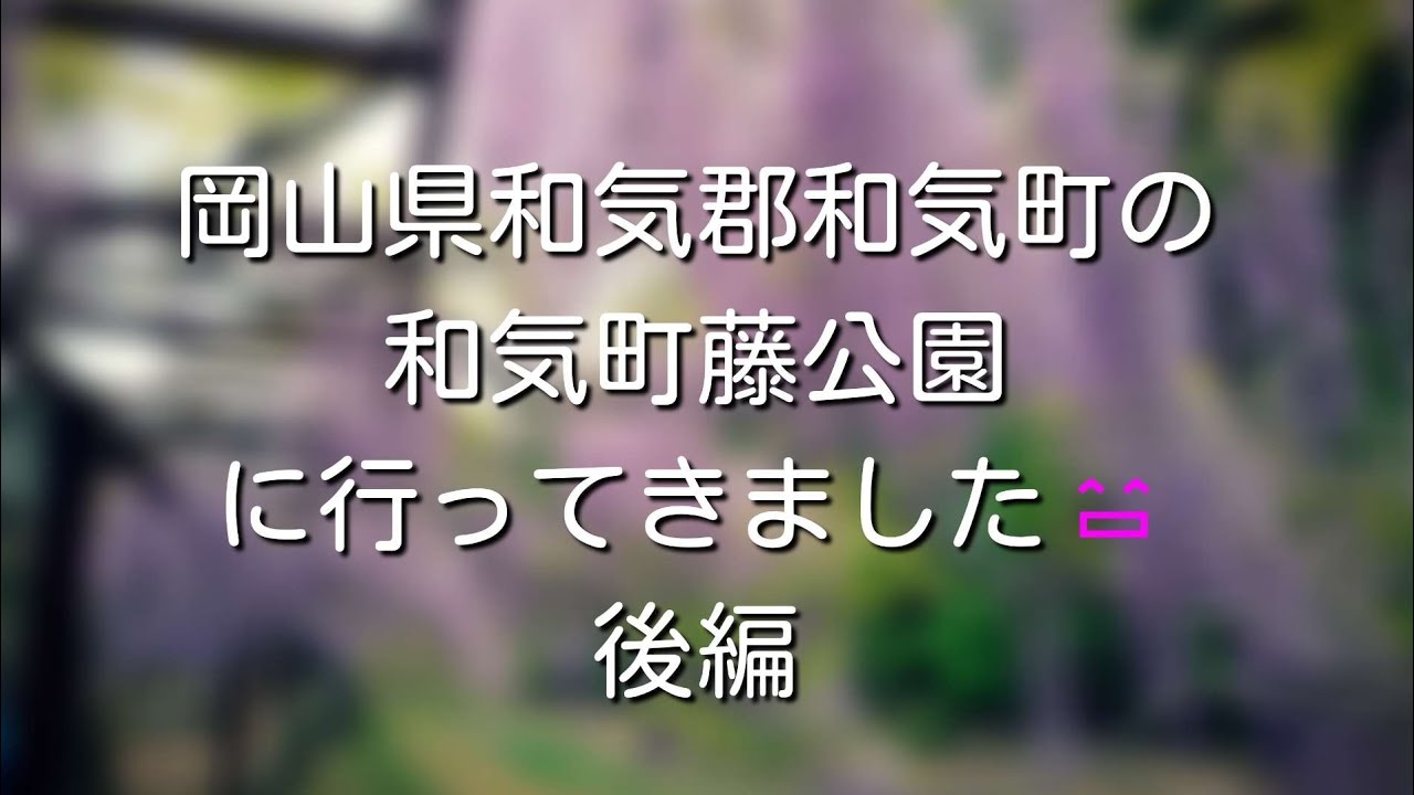 岡山県和気郡和気町の和気町藤公園に行ってきました😄後編