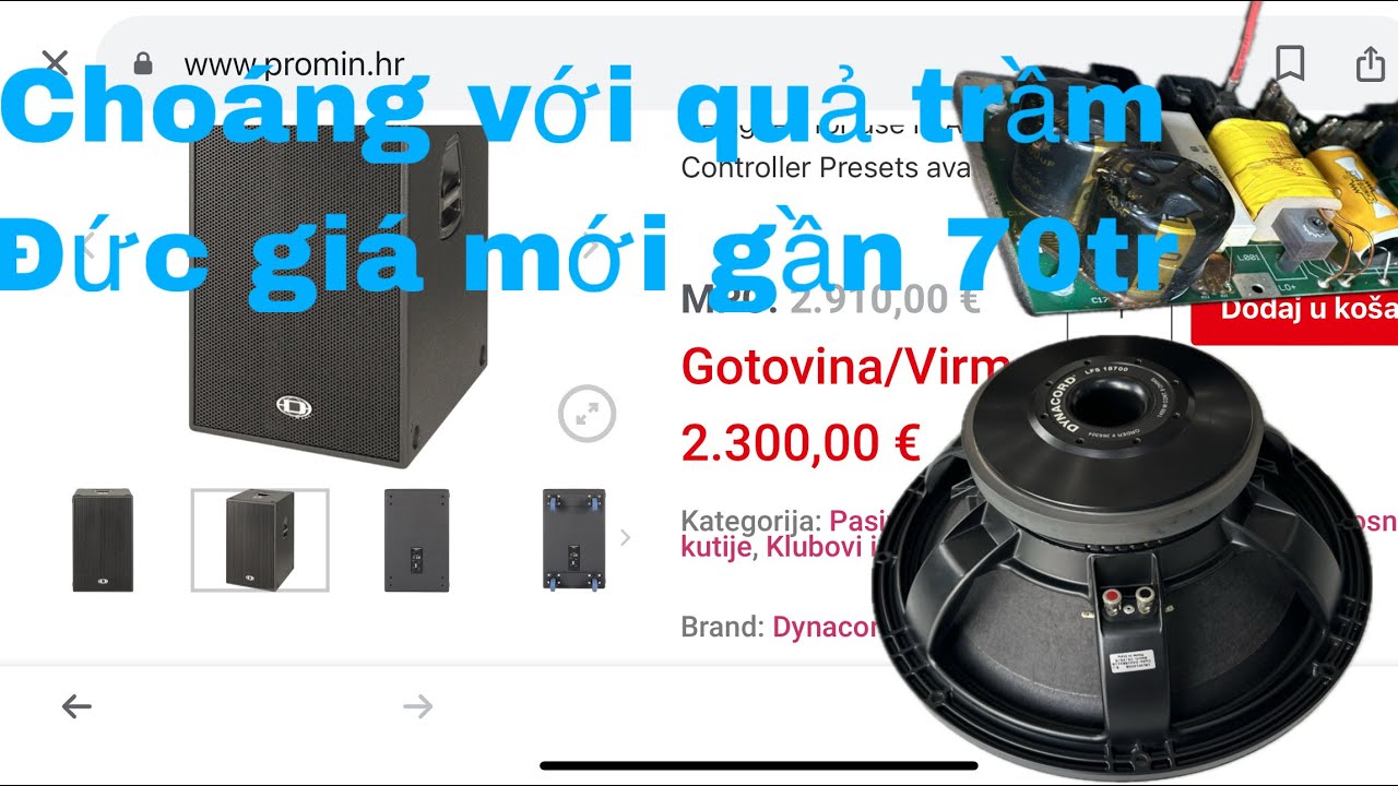 Súp hơi 50 ( lướt ) DYNACORD SUB 18 giá mới 70tr có gì mà gớm vậy 0989160695