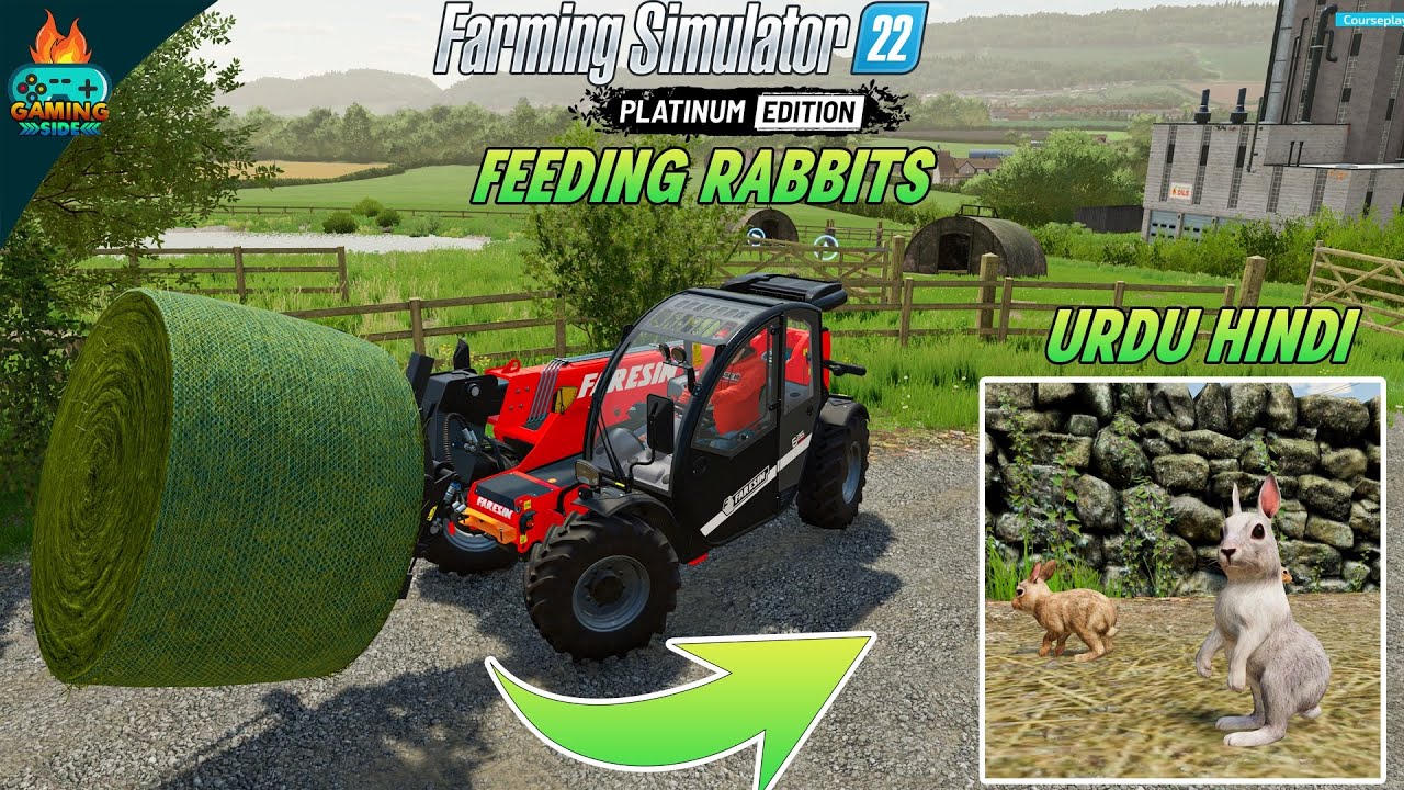 Feeding Rabbits and Making more money - The country park farm - Farming Simulator 22 gameplay&rsquo;s