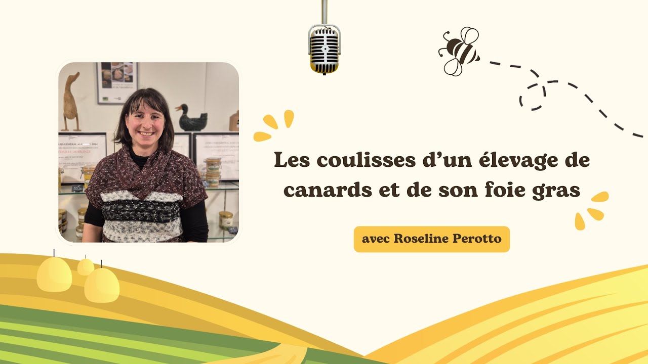 Les coulisses d'un élevage de canards et de son célèbre foie gras - Interview de Roseline Perotto