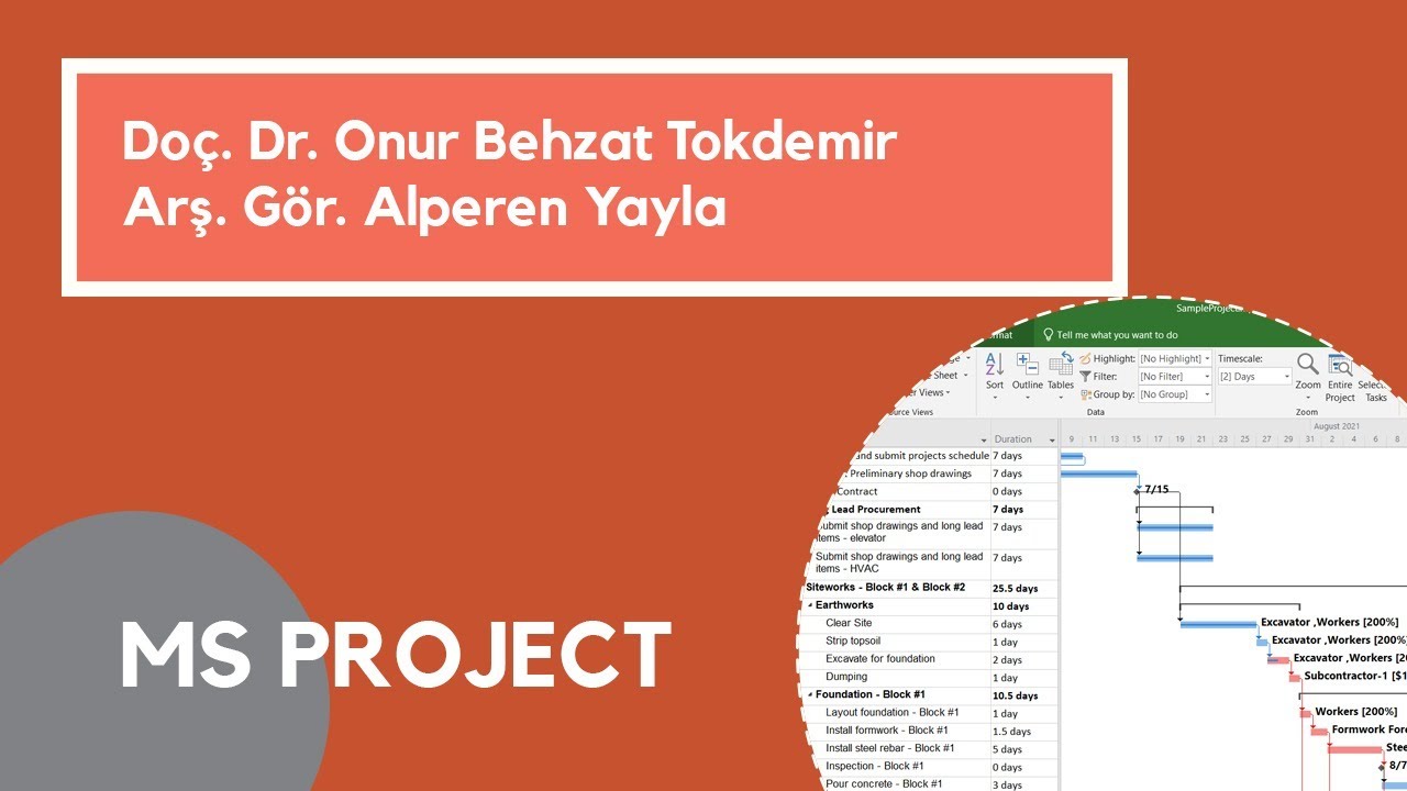 MS Project 101