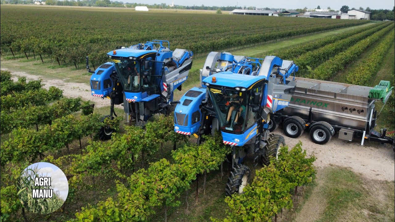 VENDEMMIA PROSECCO XXL | 2X NEW HOLLAND BRAUD 9060L | Il Gabbiano