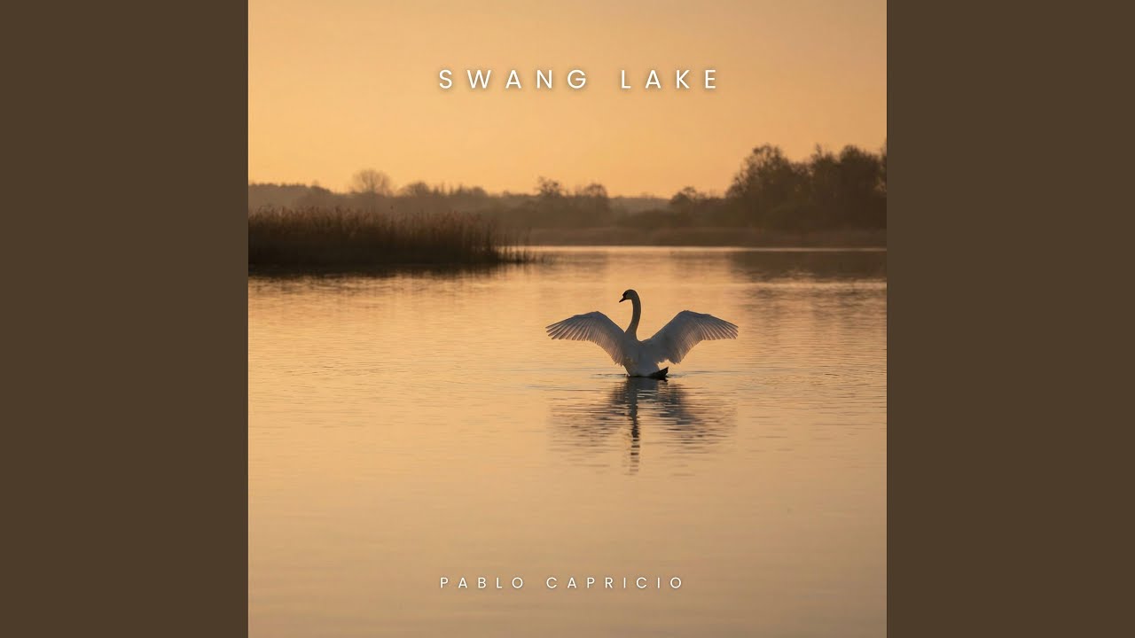 Swan Lake, Op. 20: Scène