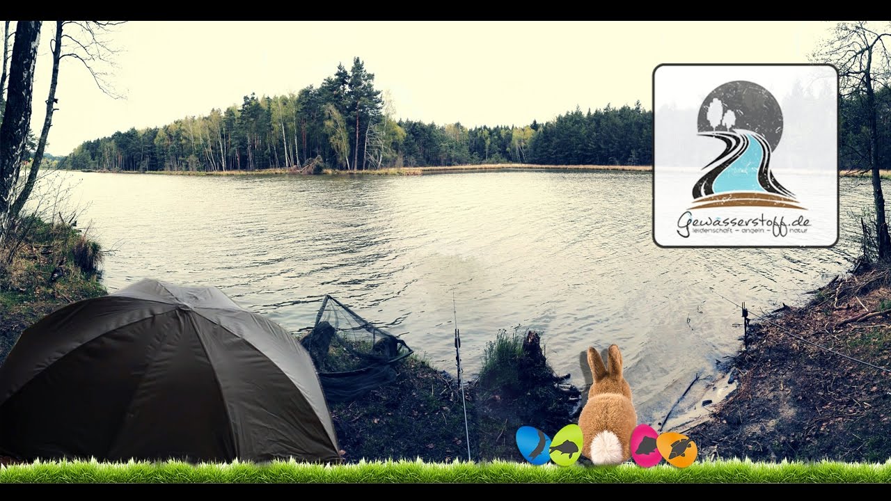 Osteransitz mit Chod Rig & Fox Supa Brolly - Karpfenangeln - Autorentagebuch l 2017