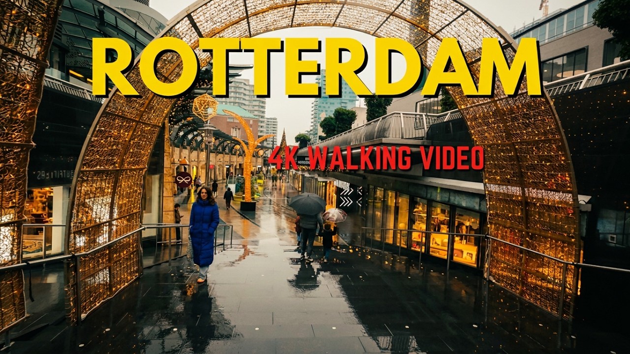 Rotterdam 4K 60fps Walking Video | Walking in Rotterdam Netherlands
