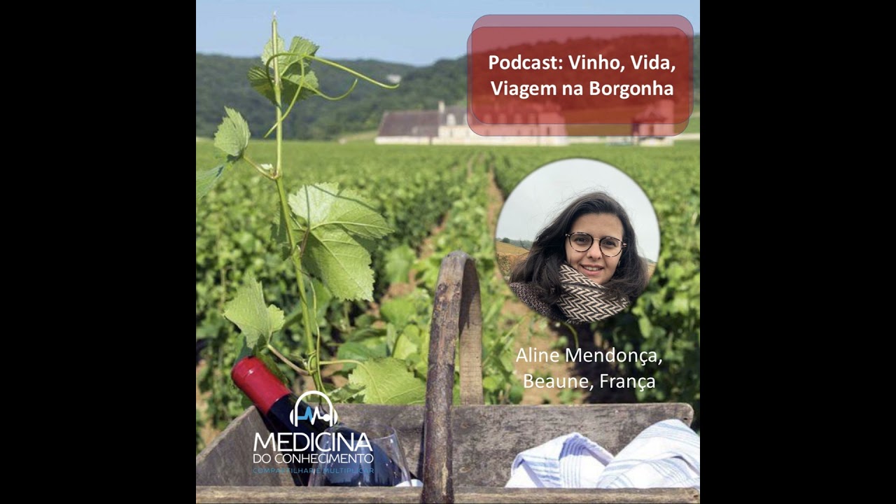 Vinho, vida, viagem na Borgonha