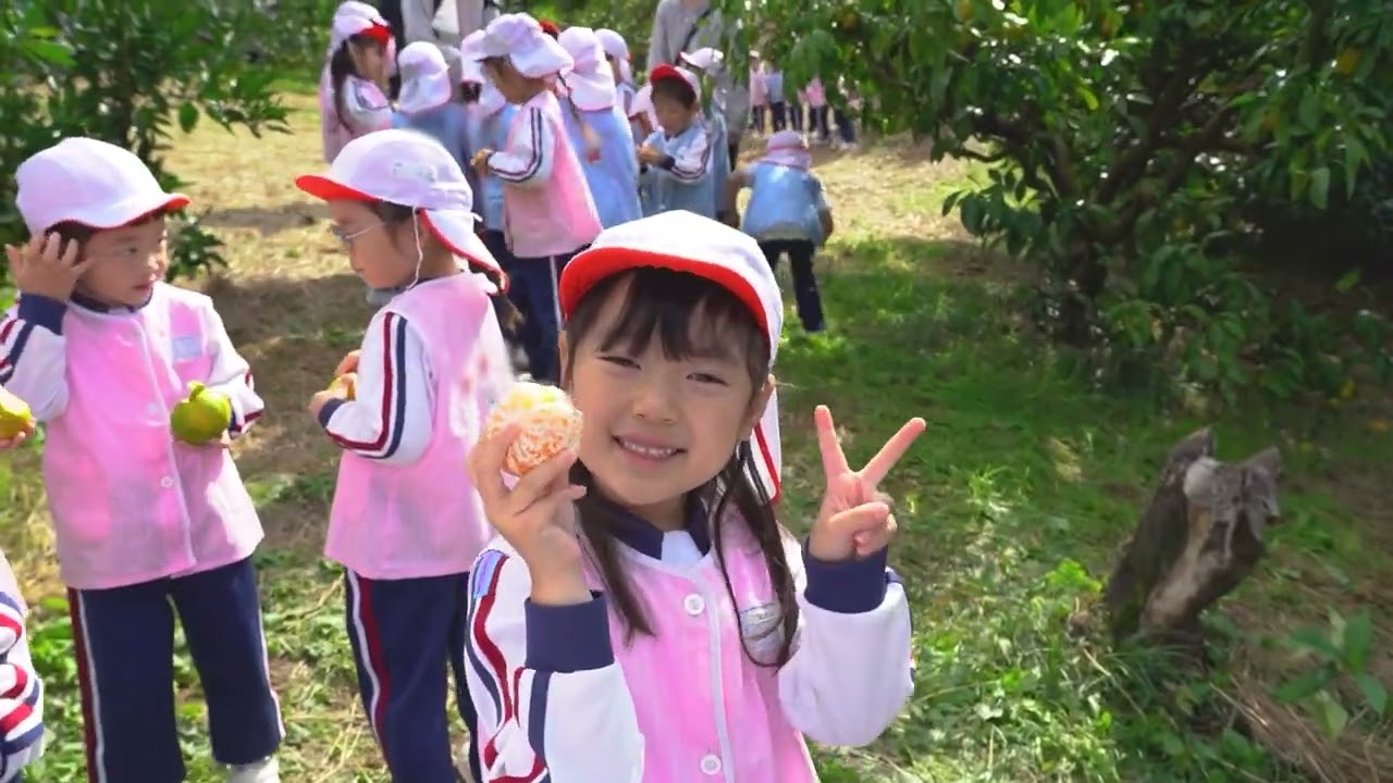 第二白鳩幼稚園　年中組  遠足・みかん狩り