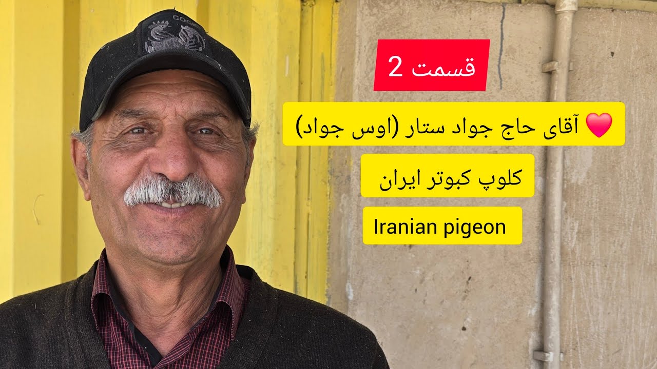 ❤️21 اسفند 1403 گزارش و مصاحبه (2) با آقای حاج جواد ستار از کاشان iranian high flyers pigeon
