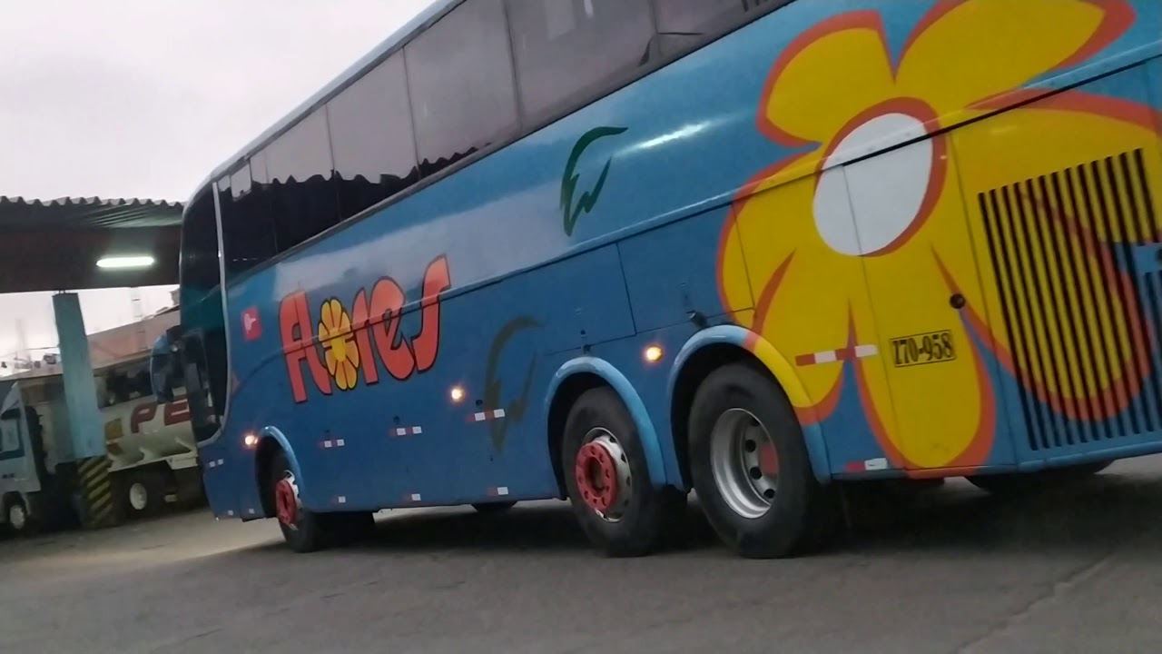 Terminal Flores - Collasuyo TACNA 