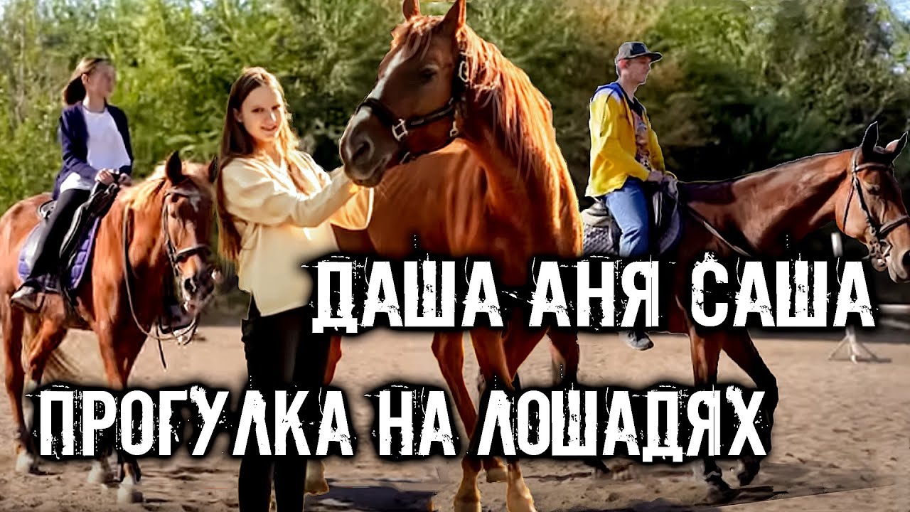 ДАША АНЯ САША, ПРОГУЛКА НА ЛОШАДЯХ. ФОТОСЕТ ПЕРЕД РОДАМИ.