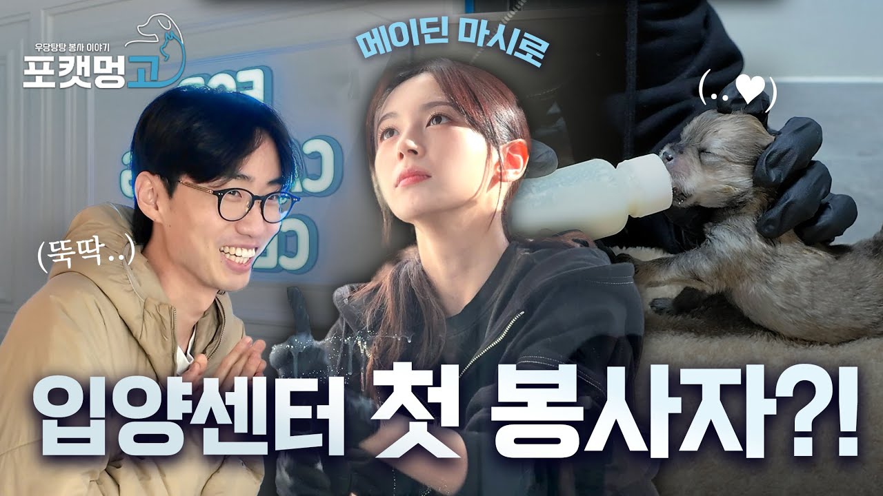 [EP.12] 입양센터 오픈 후 첫 봉사자가 방문하였습니다. ❤️