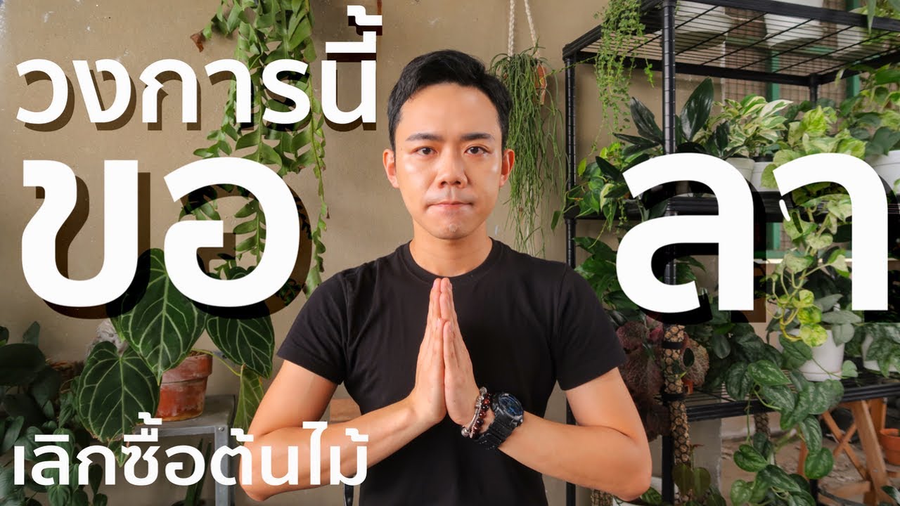 วงการนี้คงต้องลา เลิกซื้อต้นไม้ด้วยเหตุผลนี้ #uncleไม่ไหวแล้ว | Uncle Bank