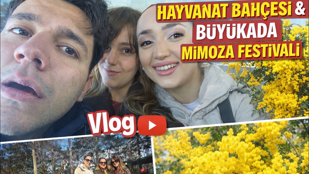 Büyükada Mimoza Festivali & Hayvanat Bahçesi Vlog 🌼🦒 | Harika Bir Gün Geçirdik!
