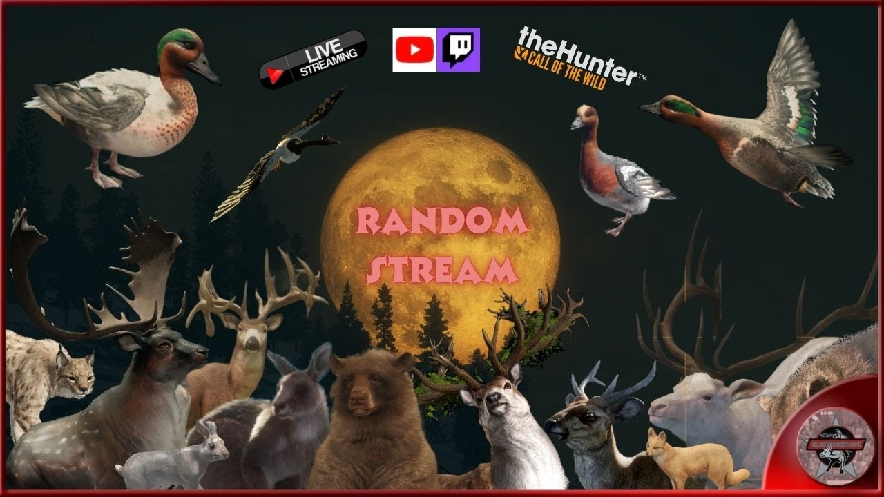 🔴LIVE🔴 RANDOM STREAM!! (Twitch & YT) : : theHunter: COTW