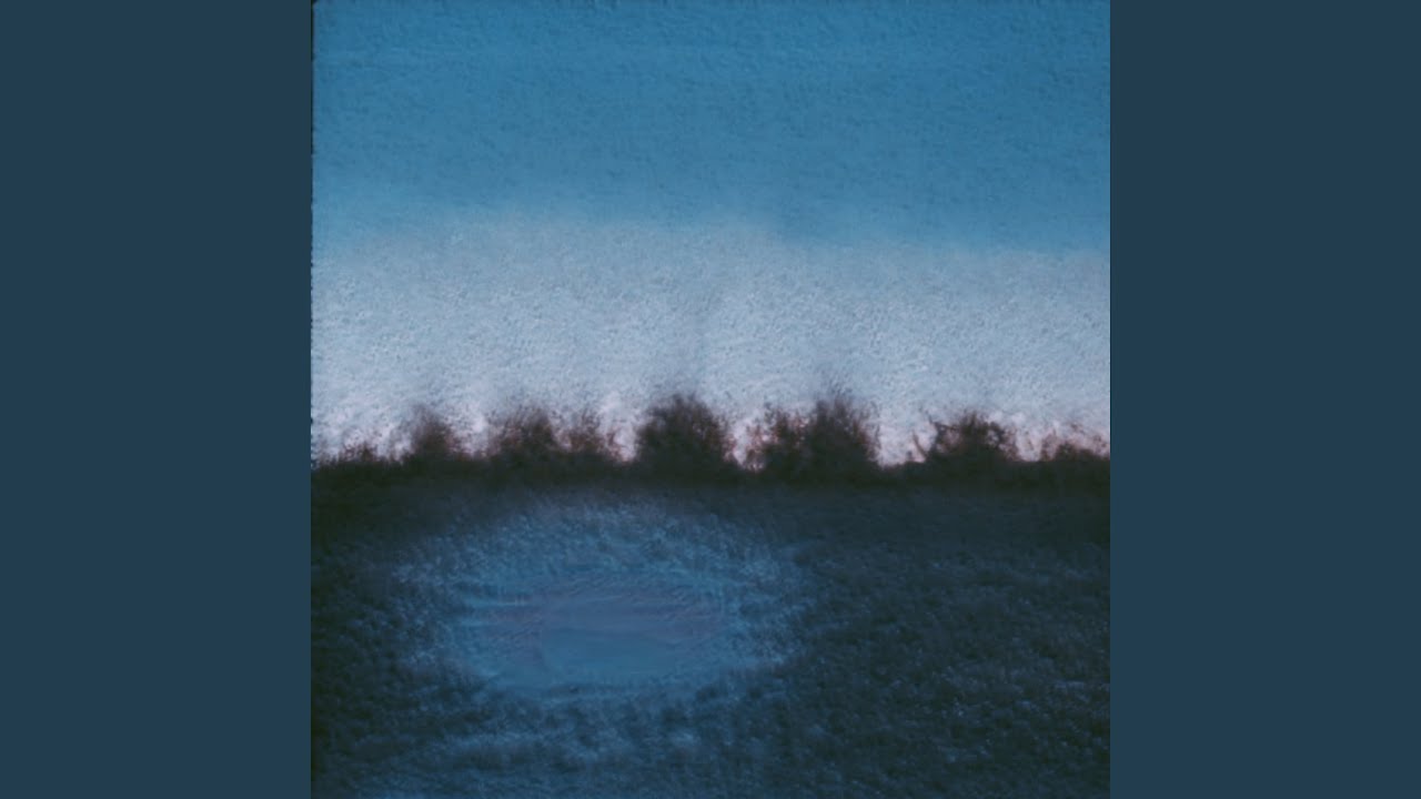 M&oslash;rk Skog