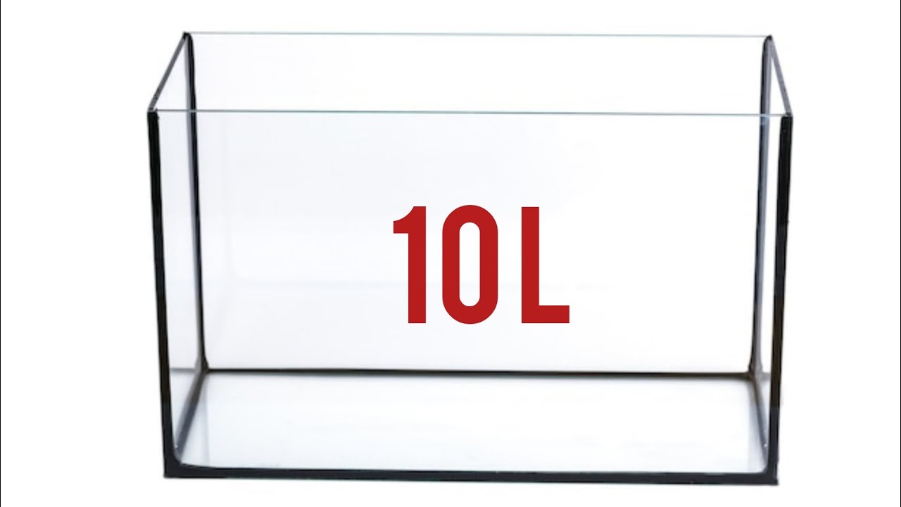 Nano akwarium, 10 litrów obsada.